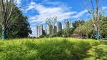 城市绿地旁的高楼景观