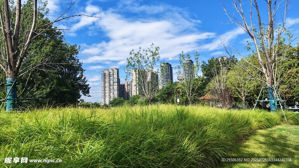 城市绿地旁的高楼景观