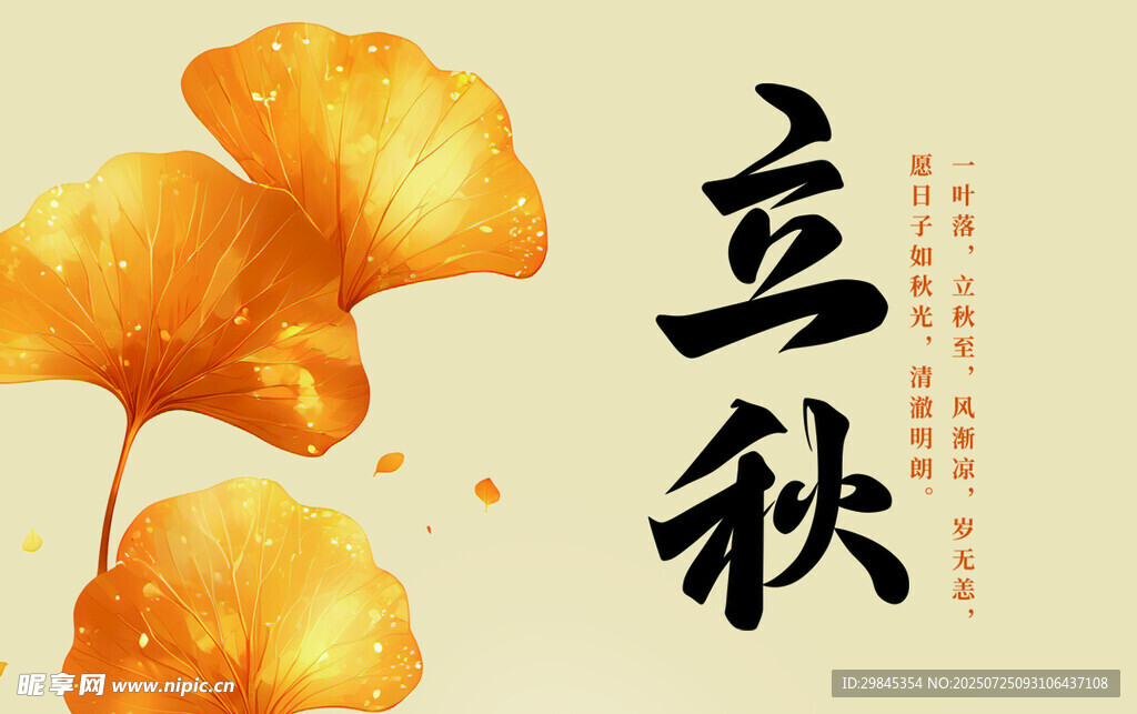 立秋时节银杏叶美景