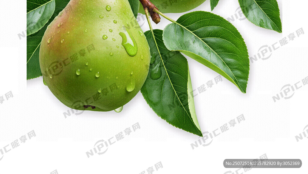 青皇冠梨 叶子 滴汁水