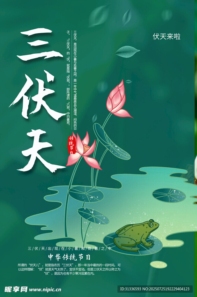 三伏天图片