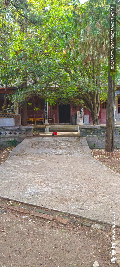 山中小院