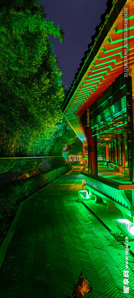 夜晚古建旁的翠绿