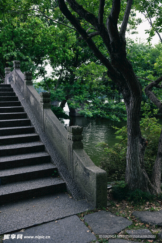 林间石阶小路