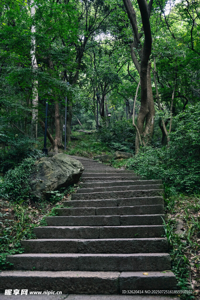 林间石阶 漫步自然之径