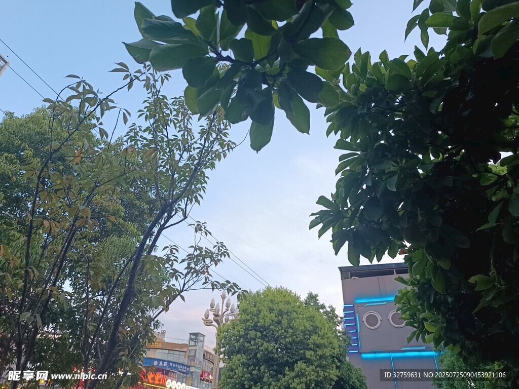 绿树掩映下的建筑一角
