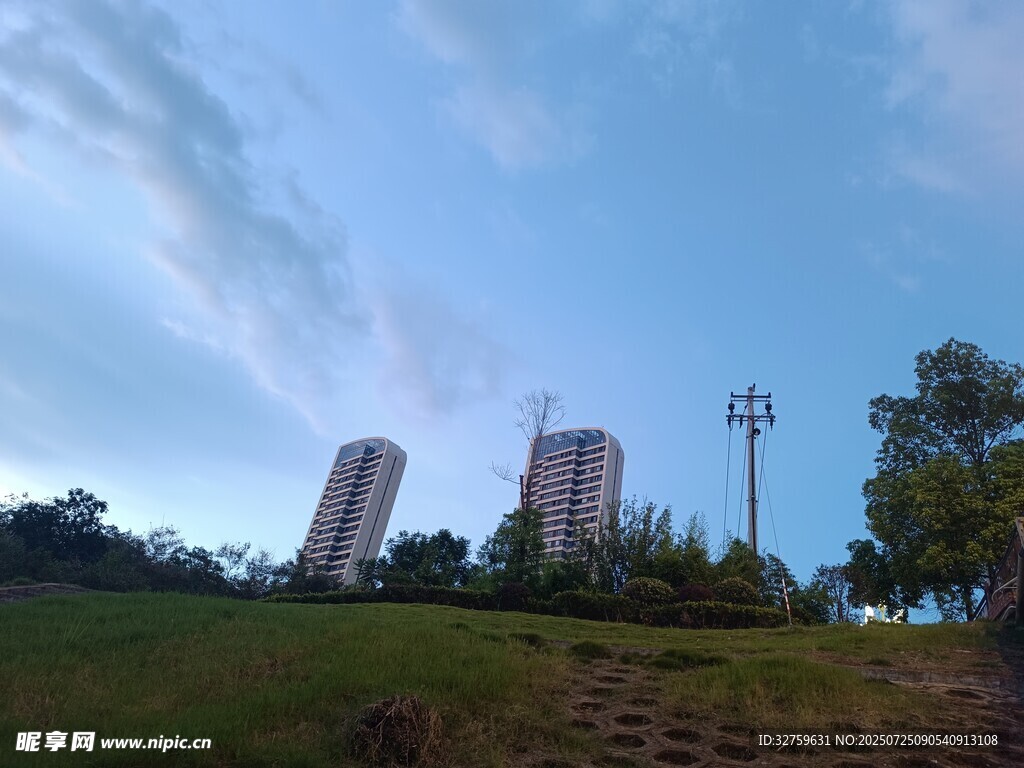 城市绿地旁的高楼景观