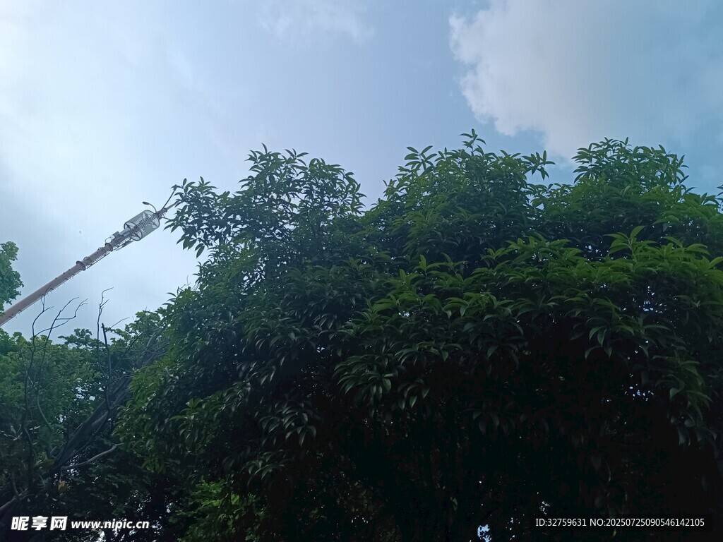 绿树蓝天间的高空作业场景