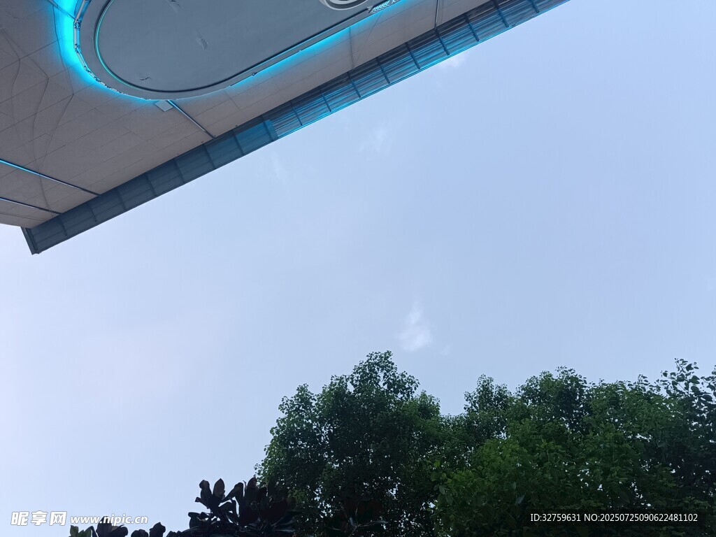 现代建筑与绿树相映成趣