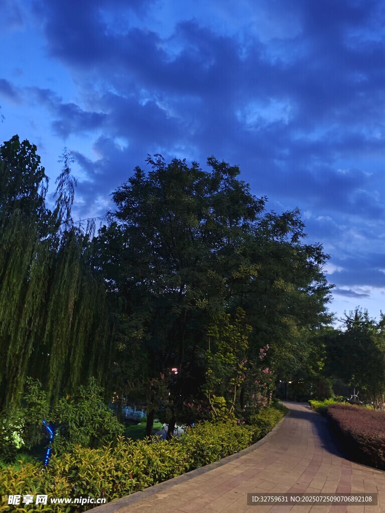 黄昏下的林间小径美景