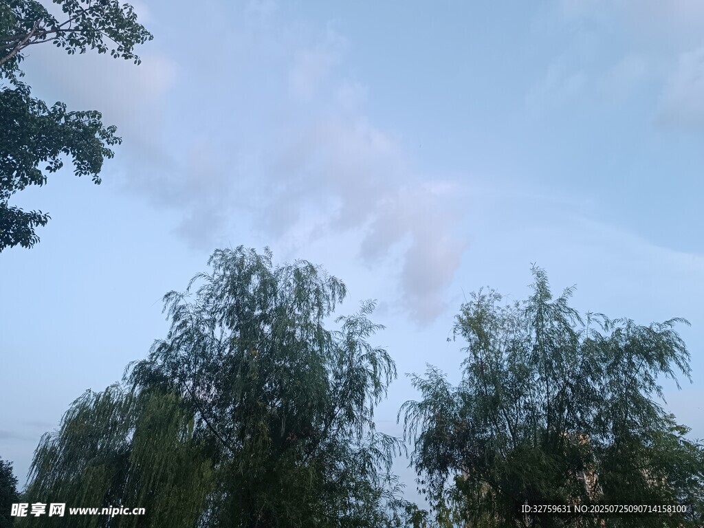 蓝天绿树间的美丽景致