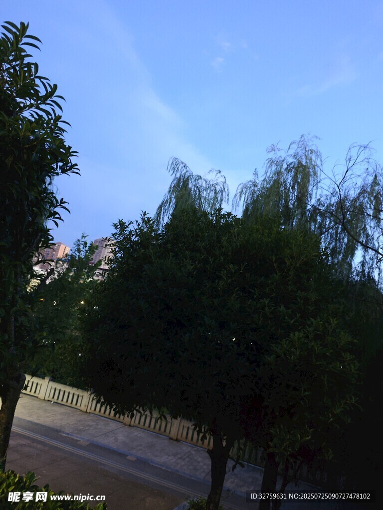 蓝天绿树间的宁静景致