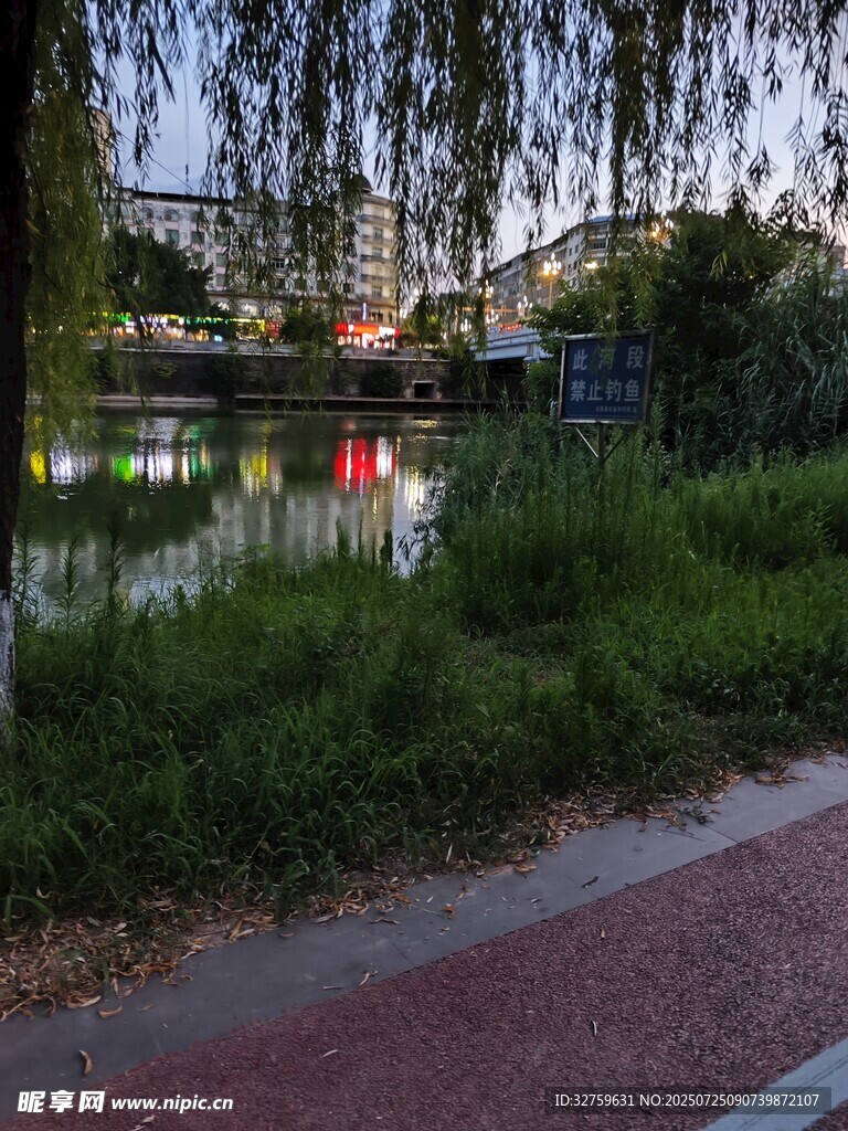 湖畔夜景