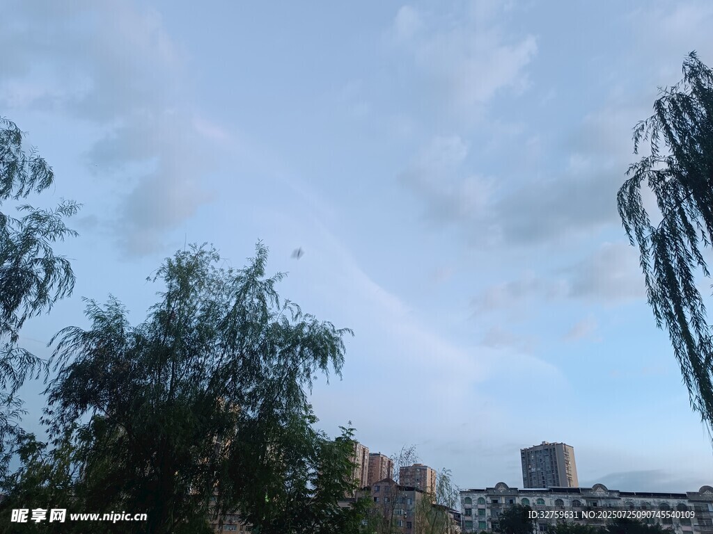 城市树梢上的蓝天景象