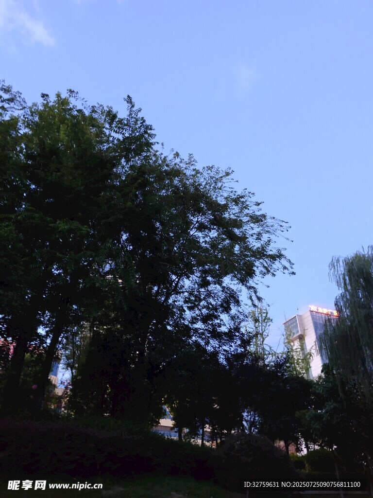 蓝天绿树景致