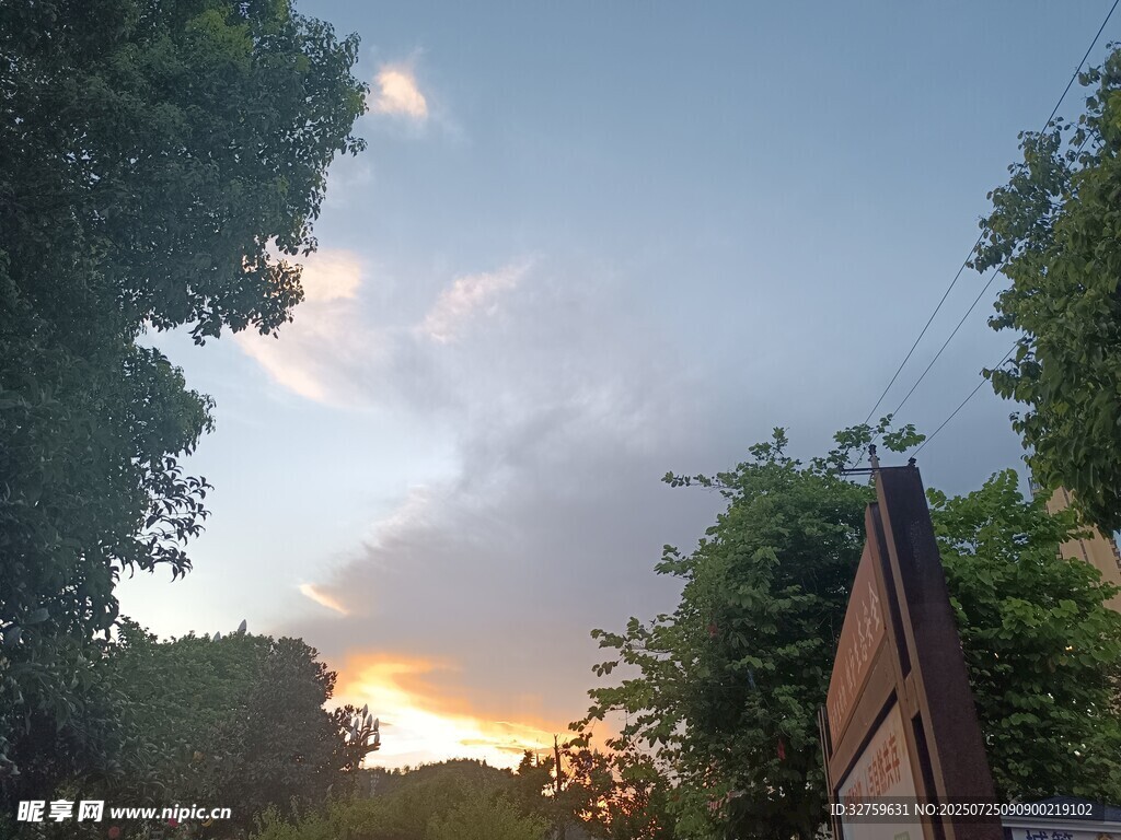 夕阳下的树梢与房屋