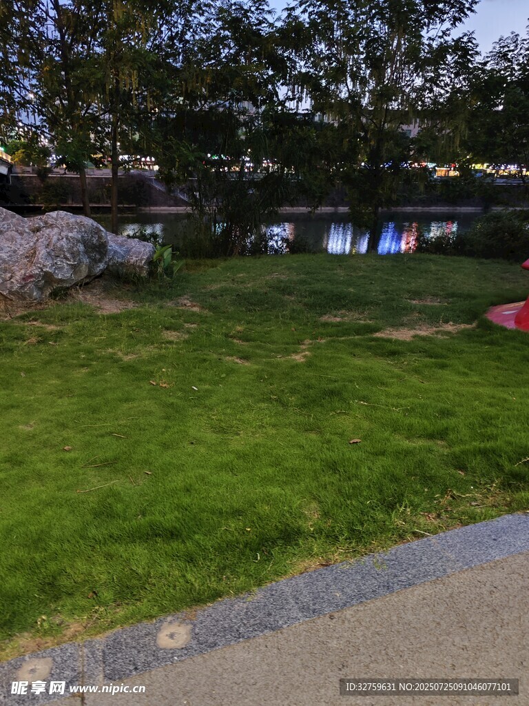 户外翠绿草坪景观