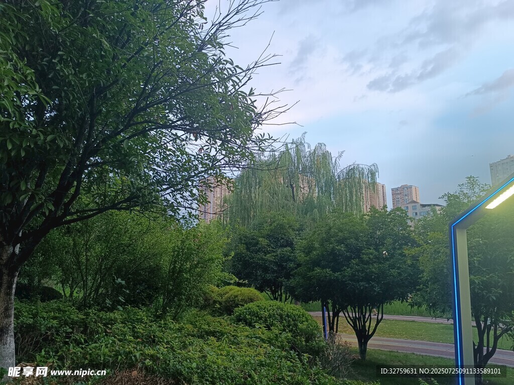 城市中的绿植景观