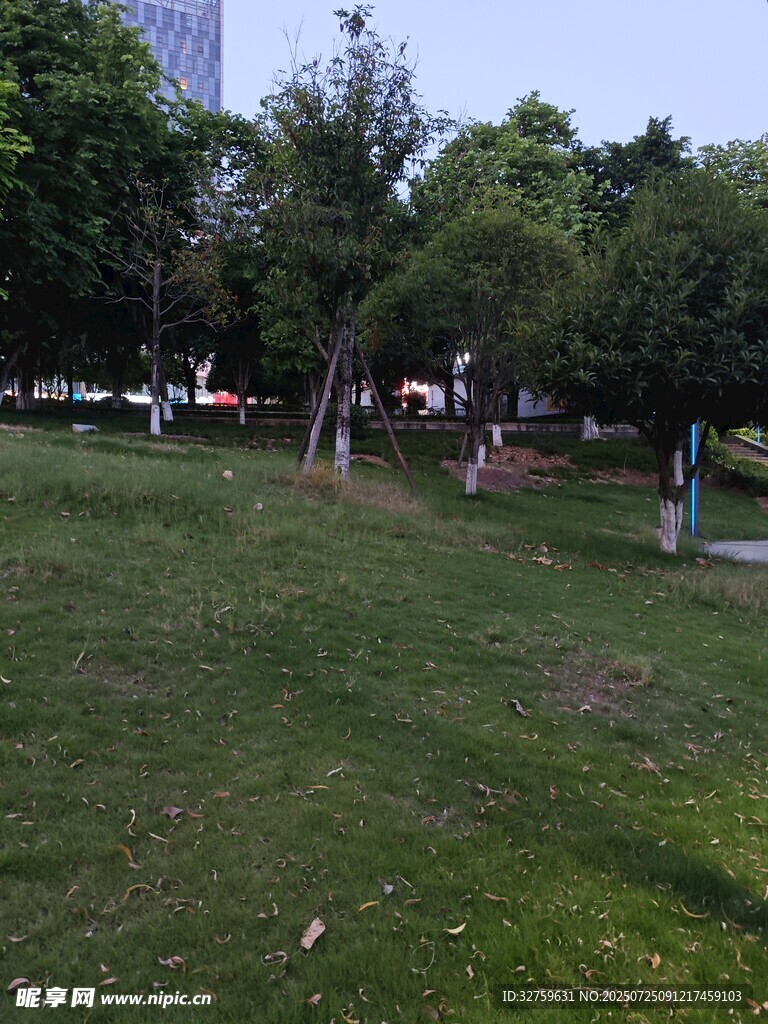 城市中的绿意草坪景观