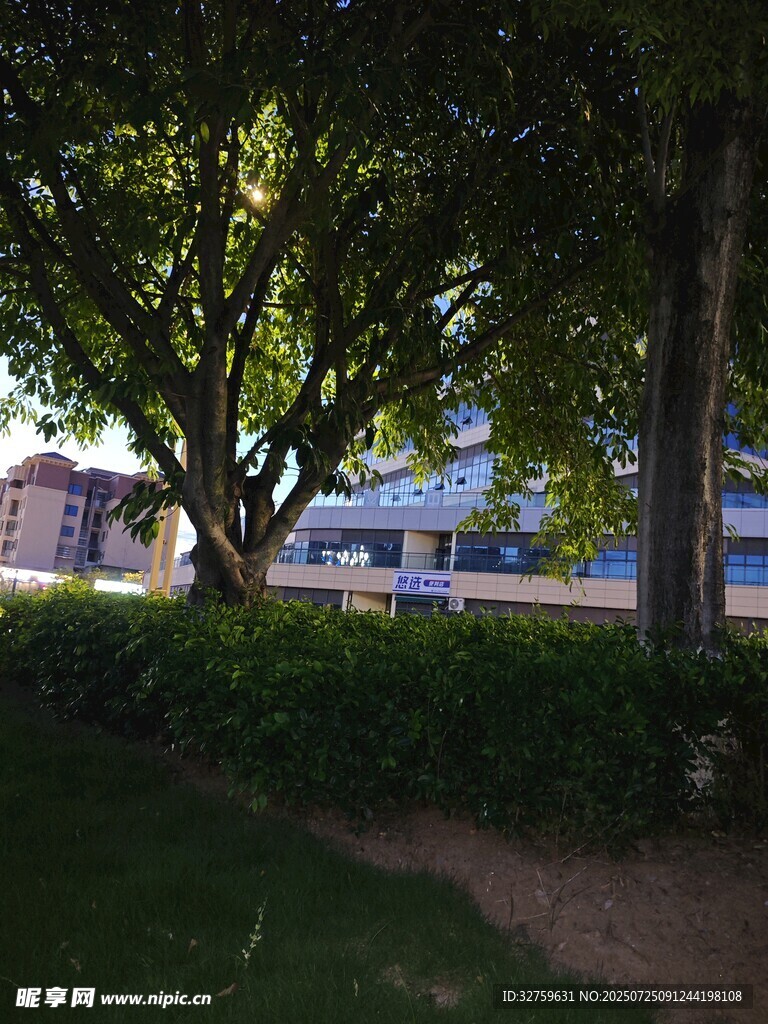 绿荫下的建筑景观