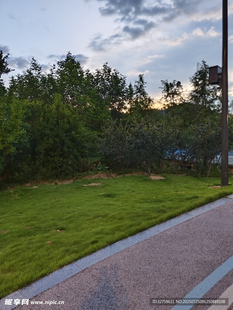 傍晚的林荫小径与绿地