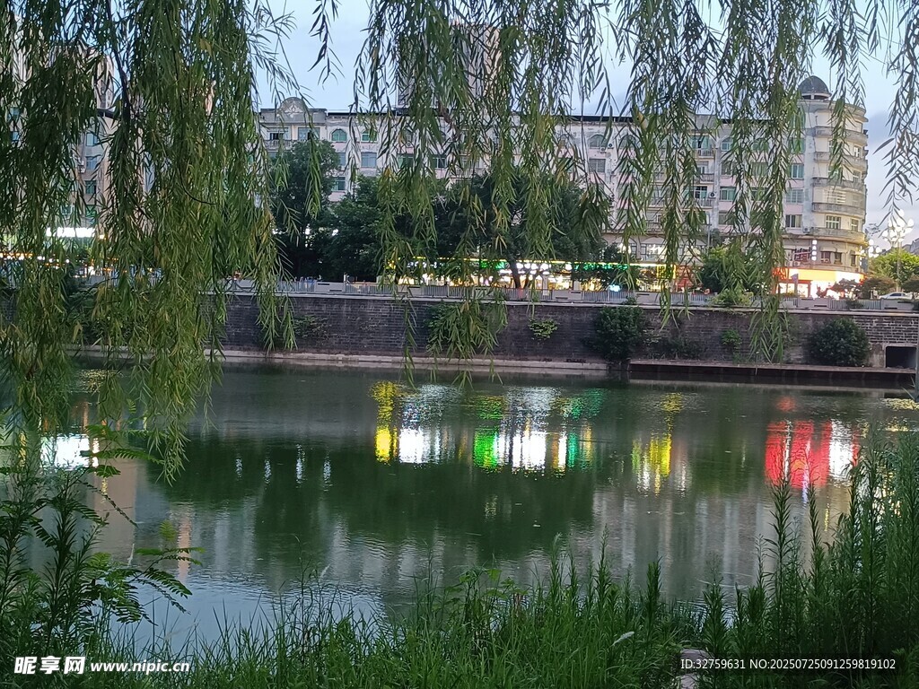湖畔垂柳映景