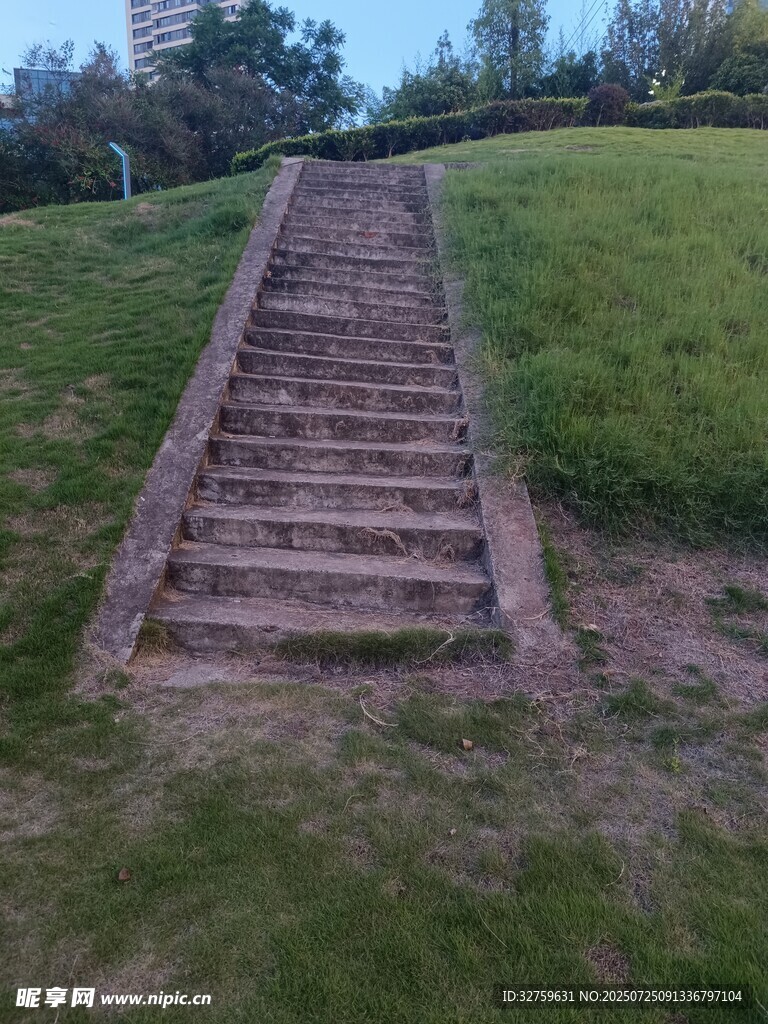 户外草地中的石阶步道