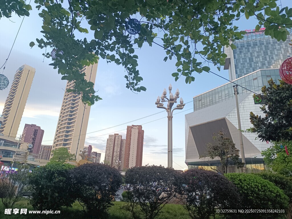 城市景观中的绿植与建筑