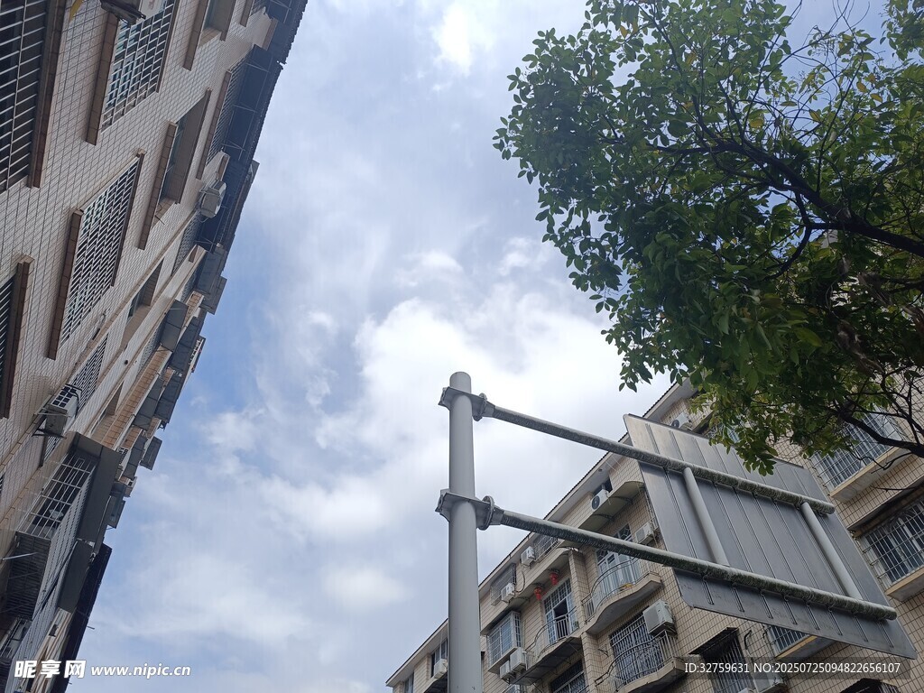 城市楼宇间的天空与绿树