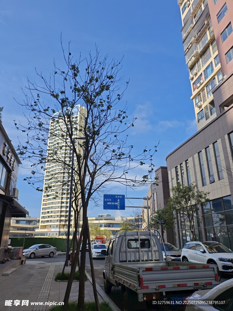 城市街道景象