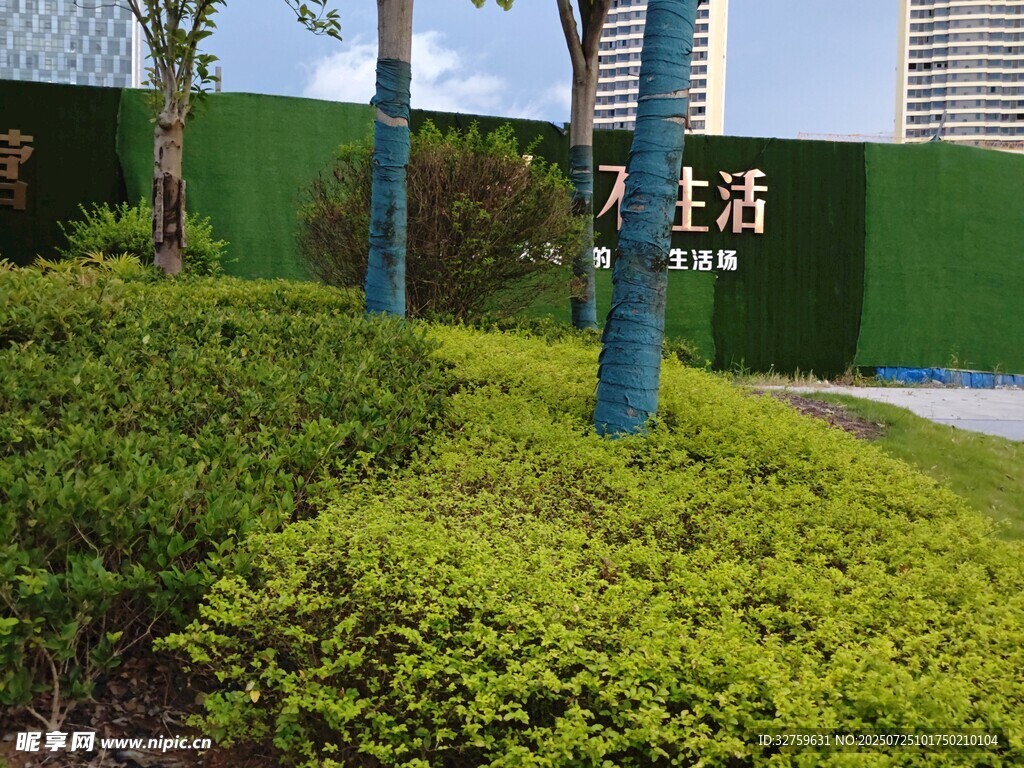 绿意盎然的园林景观