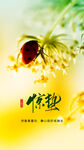 微距下的瓢虫与黄色花朵