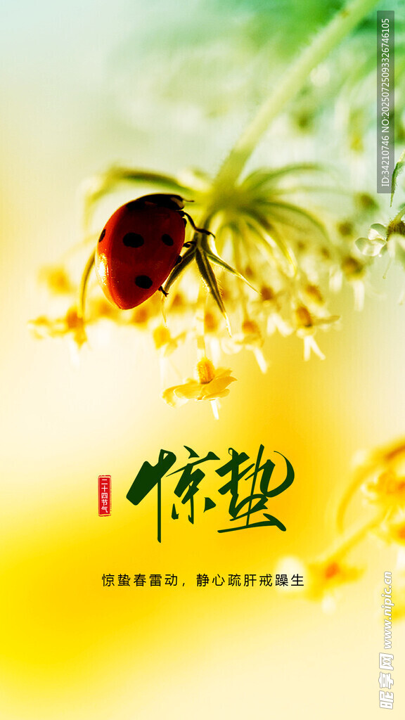微距下的瓢虫与黄色花朵