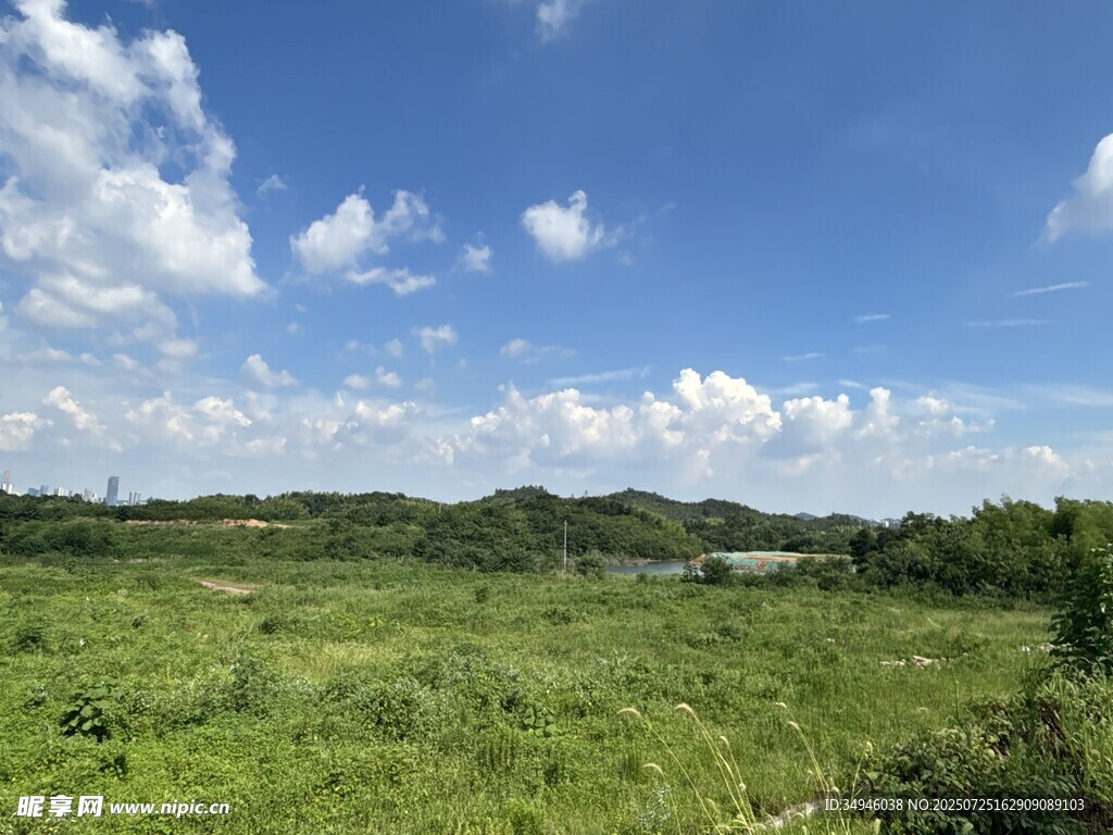 广袤绿野