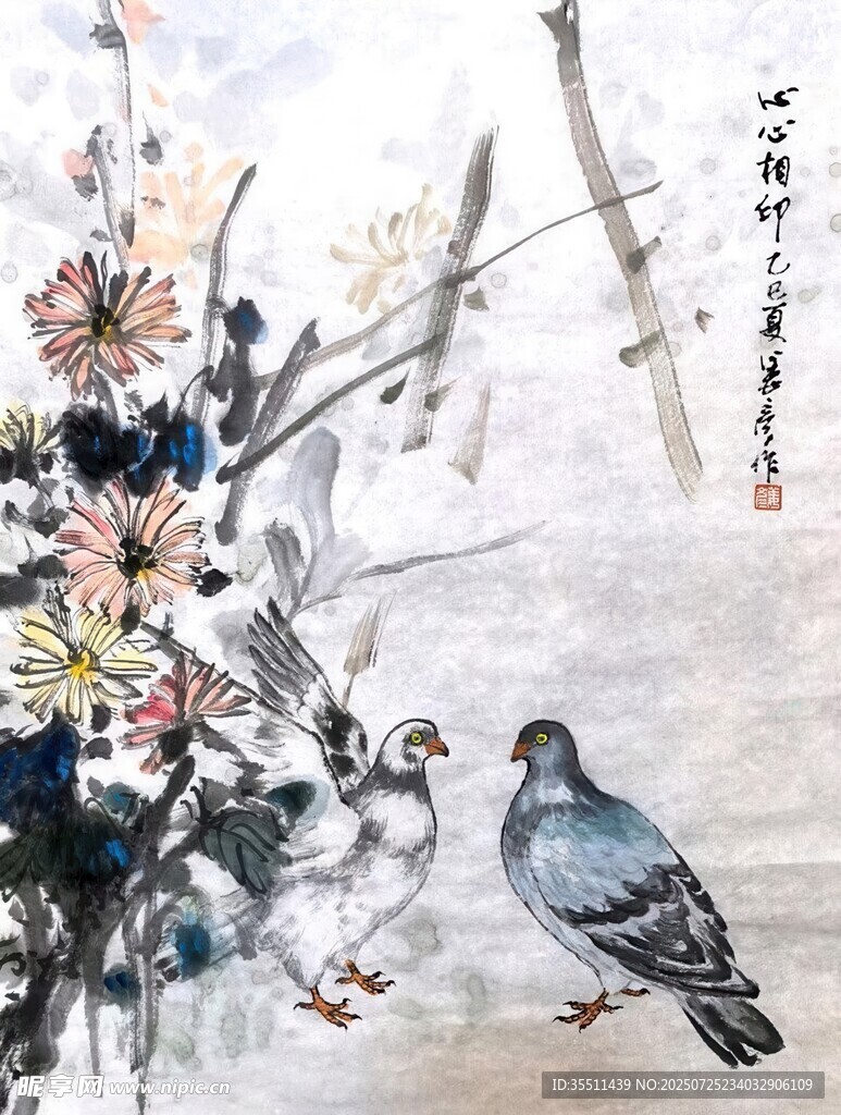 鸽子图