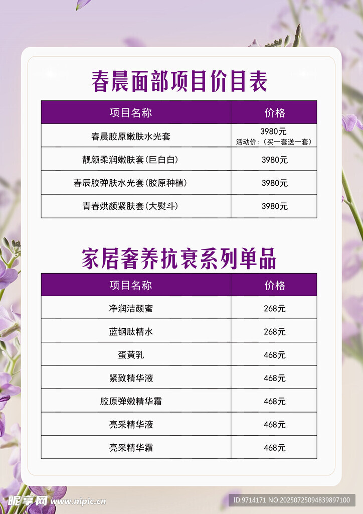 SPA 美容海报  价格表