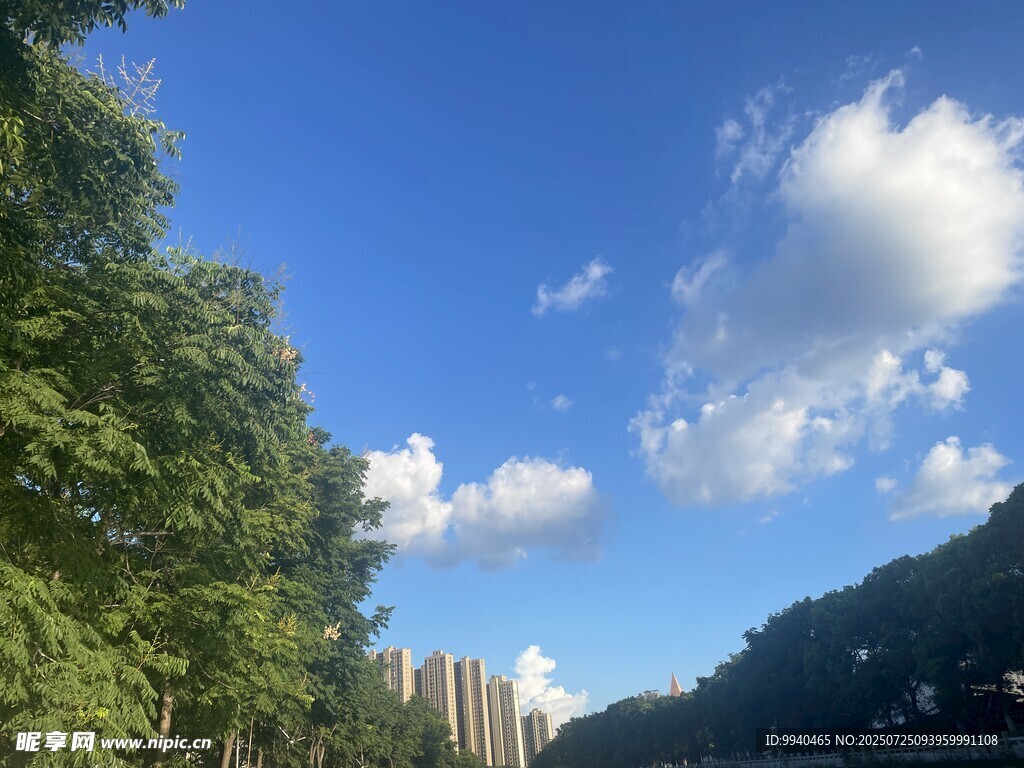 蓝天绿树间的城市景致
