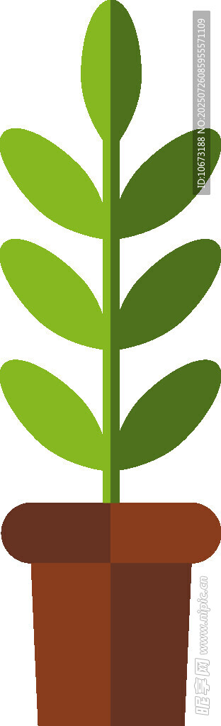 盆栽绿植