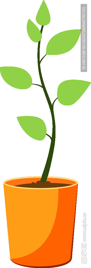 橙色花盆中的嫩绿植物