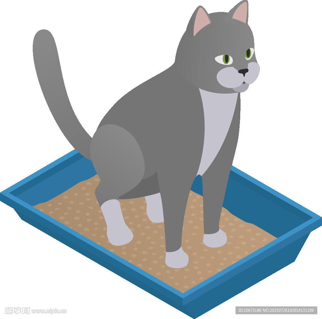 猫咪在蓝色猫砂盆中
