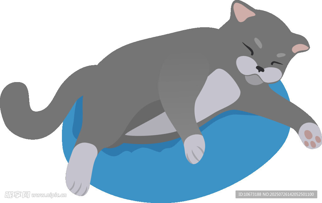 酣睡的灰猫