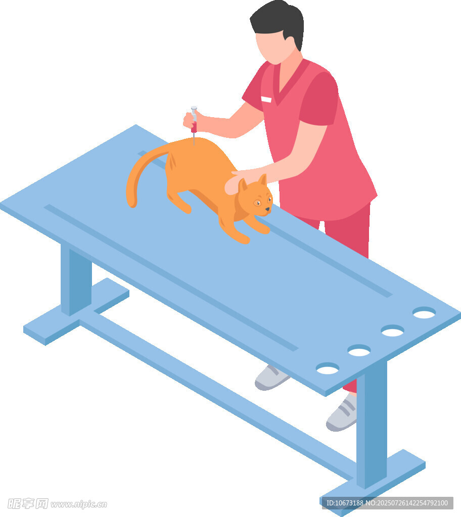兽医为橘猫做检查