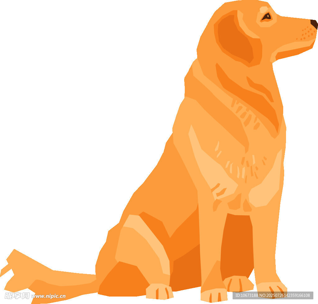 坐着的金毛犬插画