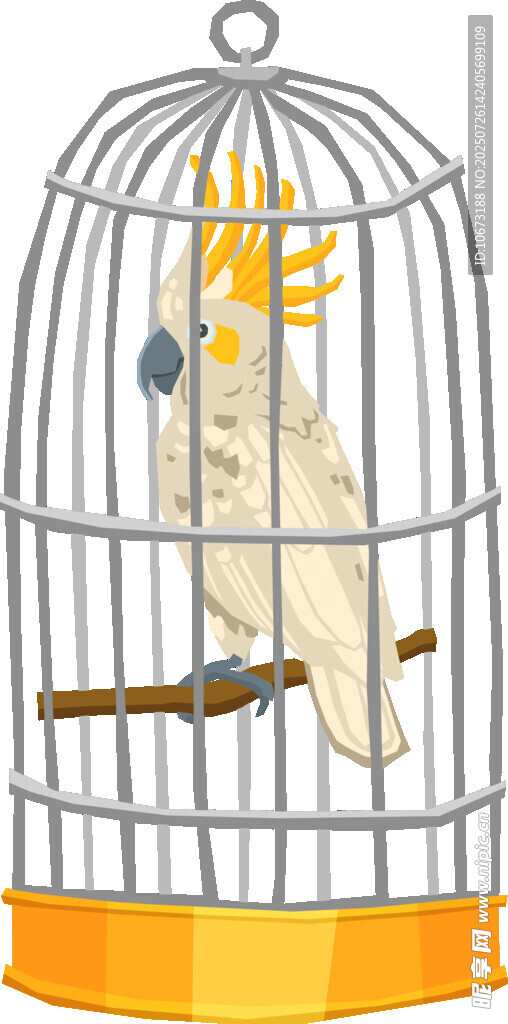 笼中鹦鹉