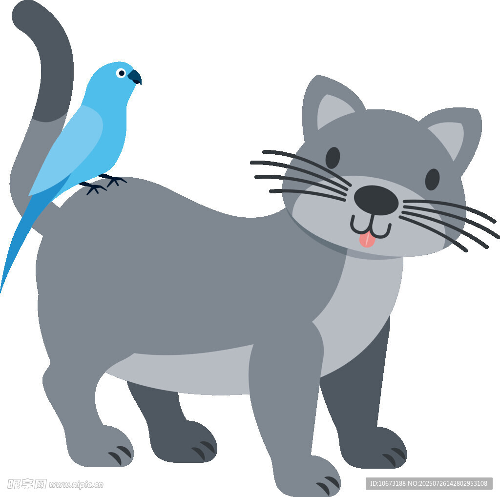 猫背上的蓝色小鸟