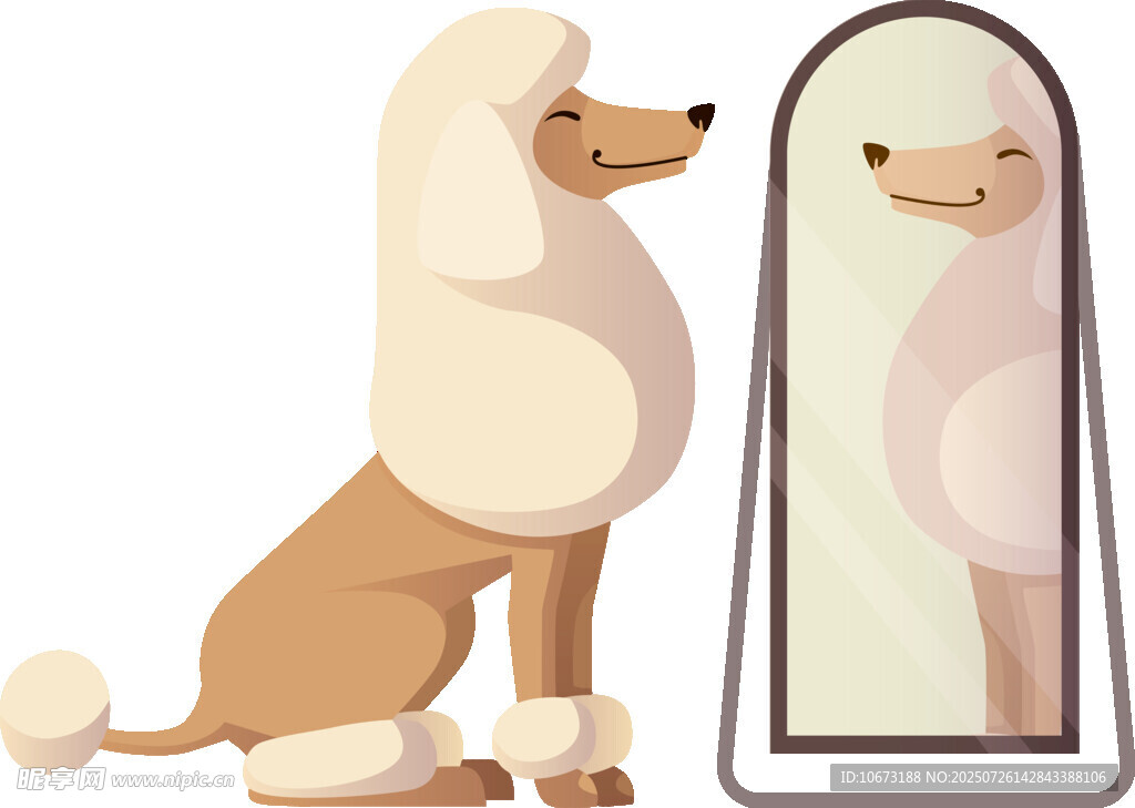 贵宾犬照镜子