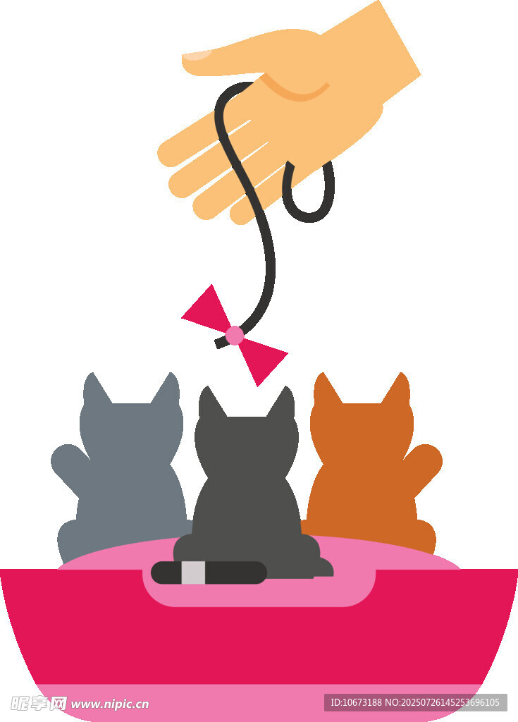 逗猫场景手逗盆中三猫咪