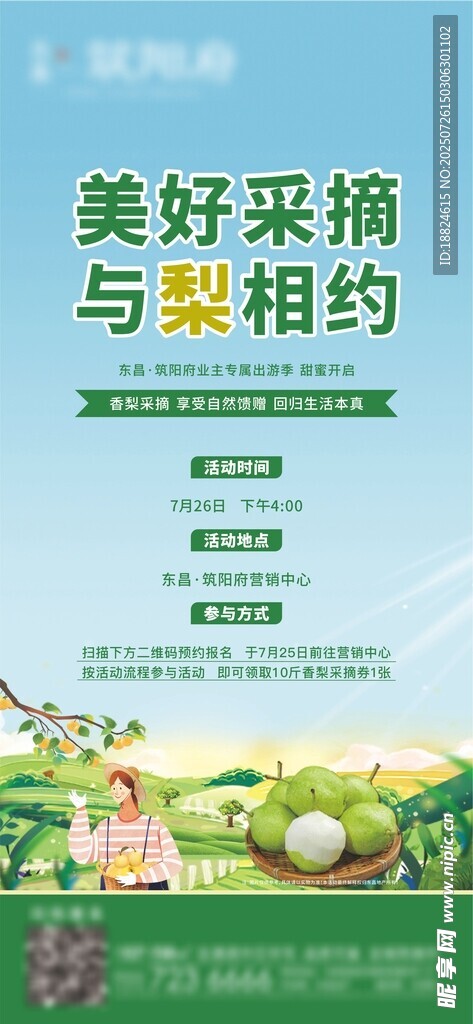 采摘活动 梨子