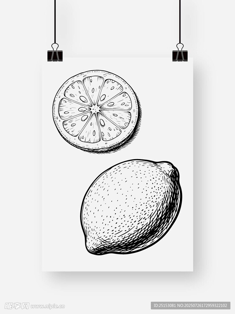 手绘柠檬插画