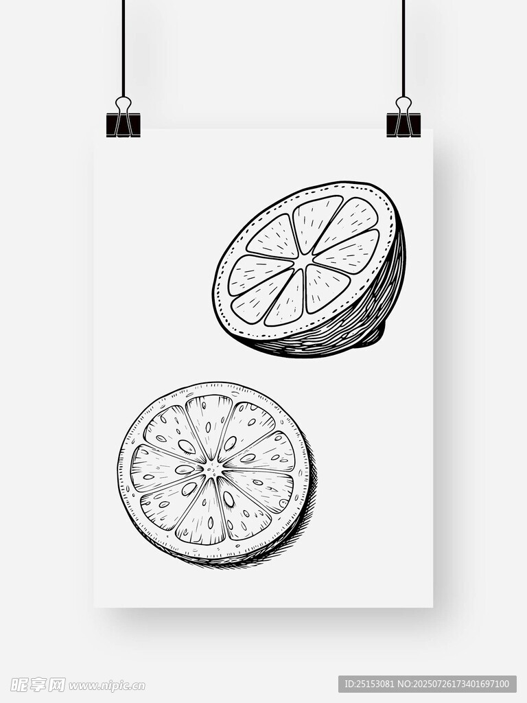 黑白柠檬切片插画